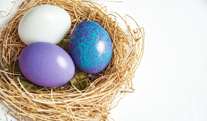 colored Easter eggs in nest, selective focus image. Happy Easter card