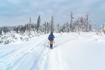 A man in bright sportswear trekking in a winter forest in Silesian Beskids.