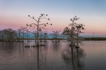 Obraz na płótnie Canvas Beautiful pink and blue sunset on lake