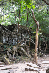 Kambodscha - Angkor - Beng Mealea