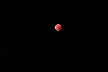 Blood Moon