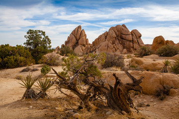 Rock Formation in the desert