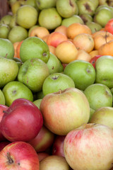Bunch of different organic apple types displayed on sale on farmer's market stand show richness and diversity