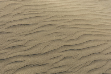 Vom Wind verwehter Sand in einer Wüste als Hintergrund oder Textur
