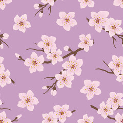 Seamless pattern with blossoming branches of cherry. A tree branch with white flowers and buds on a purple background. Spring floral background. Vector illustration