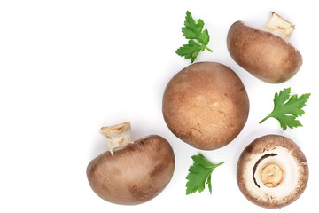 Fresh champignon mushrooms with parsley isolated on white background with copy space for your text. Top view. Flat lay