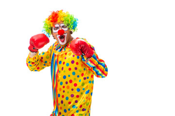 Male clown isolated on white 