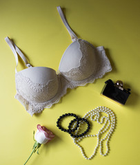 Woman fashion accessories, underwear, bouquet of roses, parfume, jewelry, on yellow background....