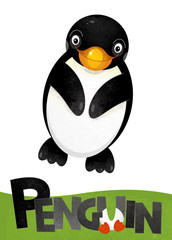 cartoon scene with penguin card on white background with name of animal - illustration for children