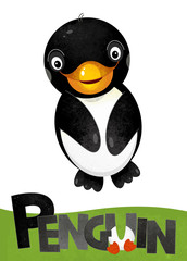 cartoon scene with penguin card on white background with name of animal - illustration for children