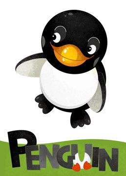 cartoon scene with penguin card on white background with name of animal - illustration for children