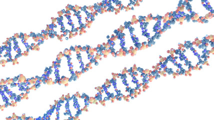 scientific 3D models of DNA spiral molecules on white