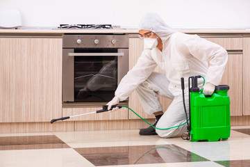 Professional contractor doing pest control at kitchen