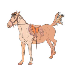 a horse Vector illustration on white