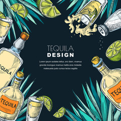 Tequila label design. Sketch vector illustration of bottles, shot glass, lime and agave. Bar menu black background.