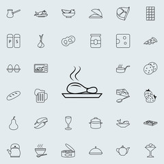 Chicken's leg icon. Food icons universal set for web and mobile