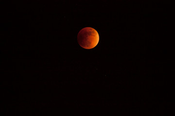 moon eclipse. orange