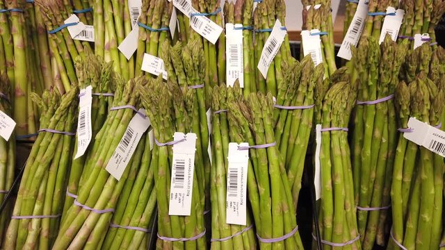 Aerial over corn field