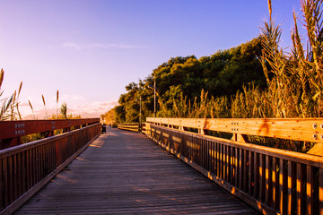 Obraz premium Promenade “Senda Litoral”. Beach and promenade of Marbella.