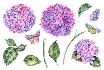 Watercolor summer set of pink flowers hydrangea, leaves, buds and butterflies