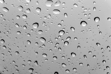 water drops background , Abstract Water drops for background use (selective focus)