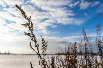 Empty Countryside Landscape in Sunny Winter Day with Snow Covering the Ground, Abstract Background with Deep Look and Dramatic Skies - Concept of Harmony, Peace and Traveling