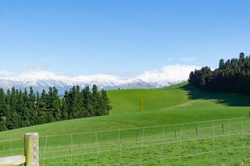 Typical South Island landscape