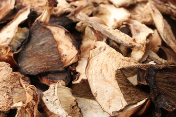 Delicious dried slices of mushrooms as background, closeup view