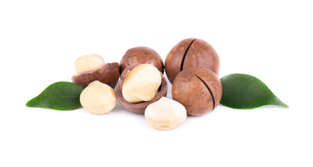 Macadamia nuts with leaves, isolated on white background. Shelled and unshelled macadamia.