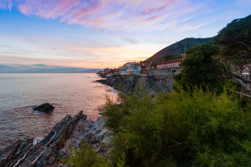 Nervi district, Genoa, Italy. Amazing blue, yellow and pink sunset on the Ligurian Sea. In the foreground plants and trees on the cliff. Anita Garibaldi walk on the right.