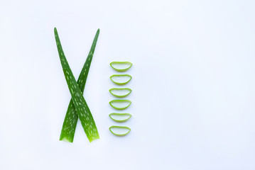Aloe vera fresh leaves with slices on white background.