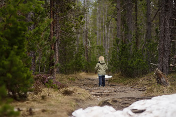 Naklejka na ściany i meble Cute little boy walks in Swiss national Park on spring.