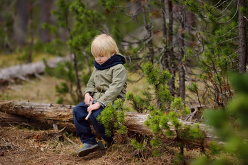 Cute little boy walks in Swiss national Park on spring. Hiking with little kids.