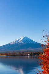 Fototapeta premium 富士山と紅葉