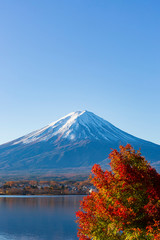 Fototapeta premium 富士山と紅葉