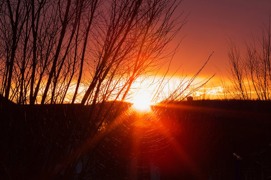 Beautiful sunset through spider net