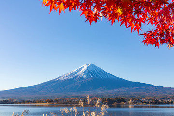 富士山と河口湖畔の紅葉
