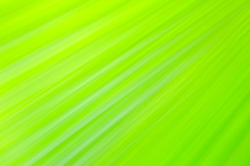Obraz premium Close-up and long exposure effect of green fan palm leaf on blurred motion under sunlight in the morning, abstract of greenery nature background, for use wallpaper and backdrop on eco green concept.