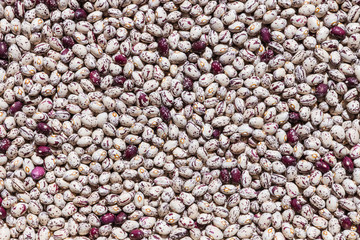 closeup of white and purple shelled haricot beans background