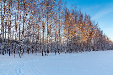 Ski track and footpath on the outskirts of the city