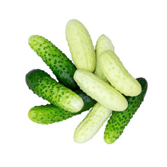 Several small cucumbers gherkins of different varieties isolated on white background