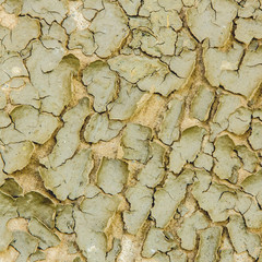 Cracked earth abstract background.