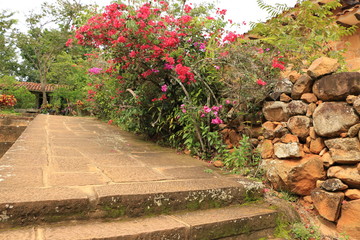 Camino de flores en barichara