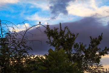 C&eacute;u de Bras&iacute;lia 