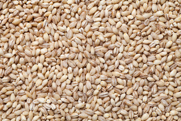Close-up of peeled barley. Food background.