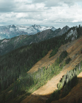 Dramatic light along the trail.