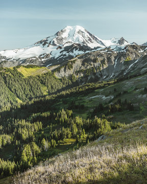Golden light on Mt. Baker.