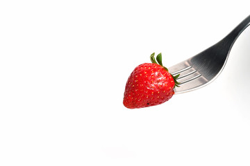 Isolated picture of fresh red strawberry on silver fork and space for write wording, sweet delicious meaningful fruit for love specially in valentines day, high vitamins fruit good for kids and adult