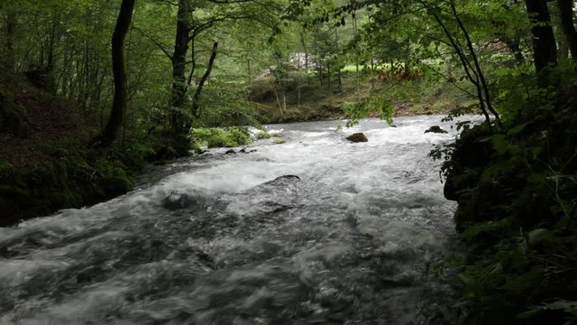 The Pliva river bosnia herzegovina 