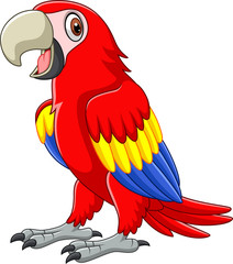 Cartoon funny macaw  © tigatelu